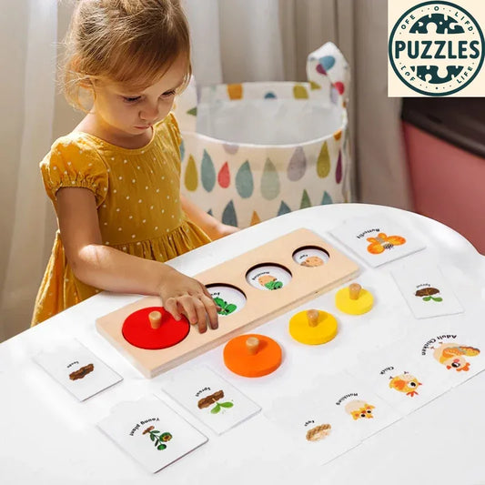 Life Cycle Wooden Peg Puzzle – Montessori Sorting & Matching Game - Puzolife - Puzzles of Life