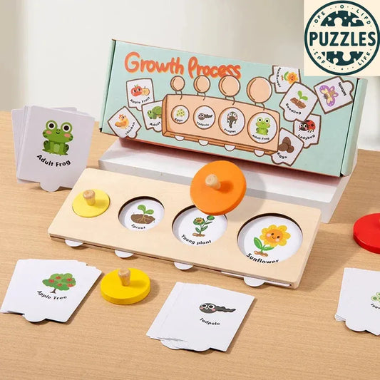 Life Cycle Wooden Peg Puzzle – Montessori Sorting & Matching Game - Puzolife - Puzzles of Life